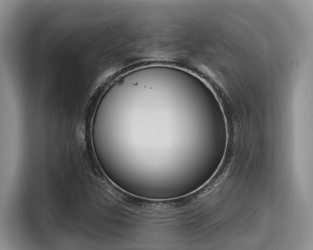 X0000115291307200911090944