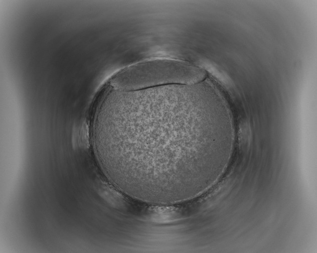 X0000115291310200911090944