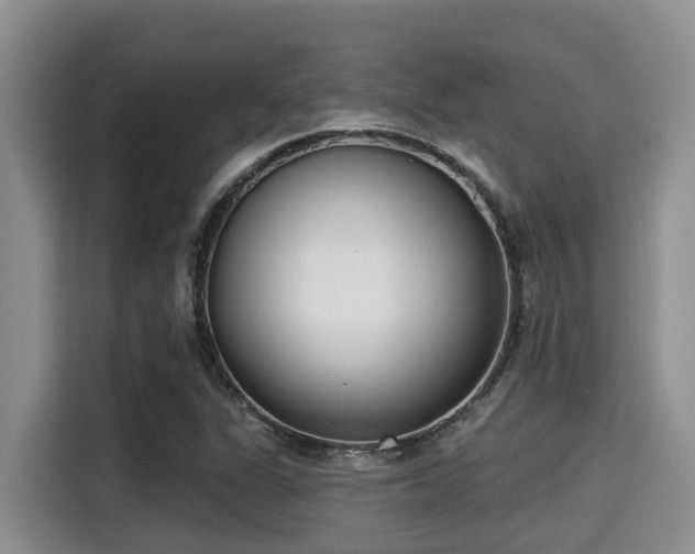 X0000115291311200911090944
