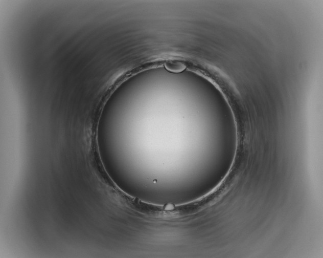 X0000115291313200911090944