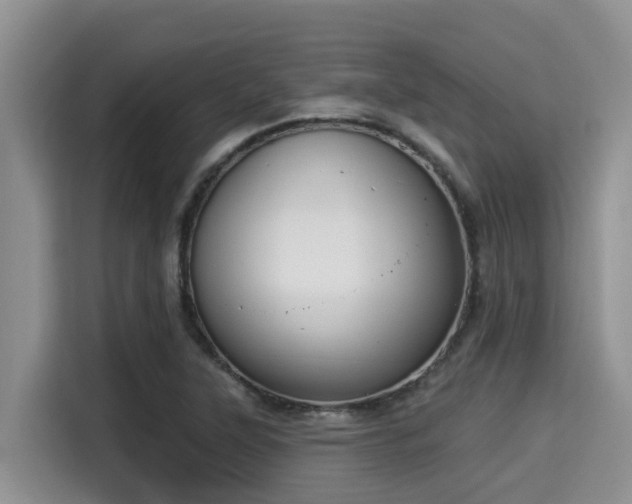 X0000115291315200911090944