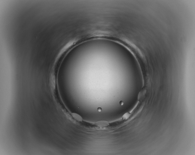 X0000115291317200911090944