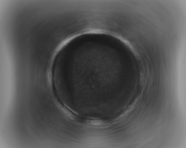 X0000115291319200911090944