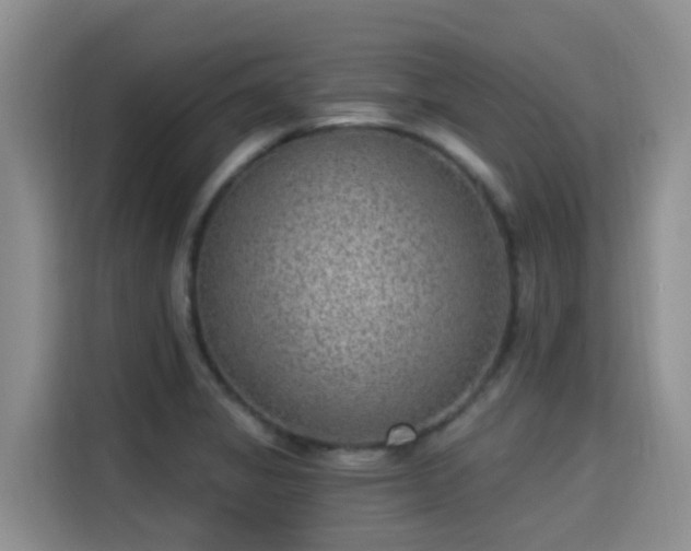 X0000115291325200911090944
