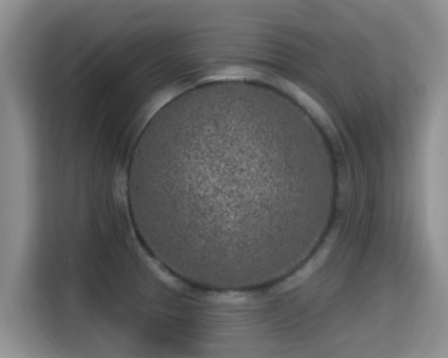 X0000115291329200911090944