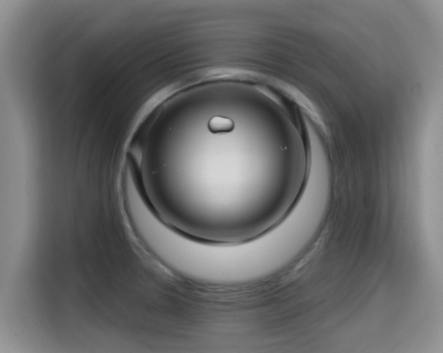 X0000115291330200911090944