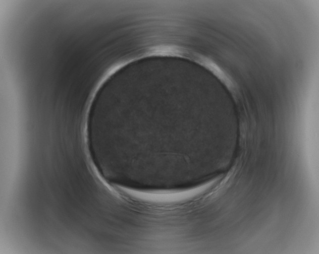X0000115291331200911090944