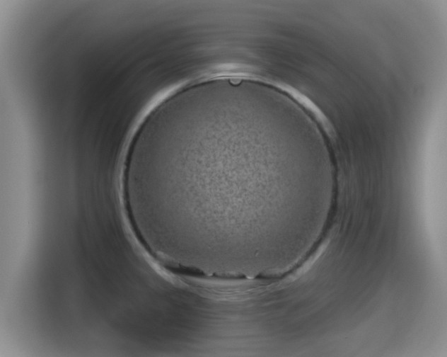 X0000115291333200911090944