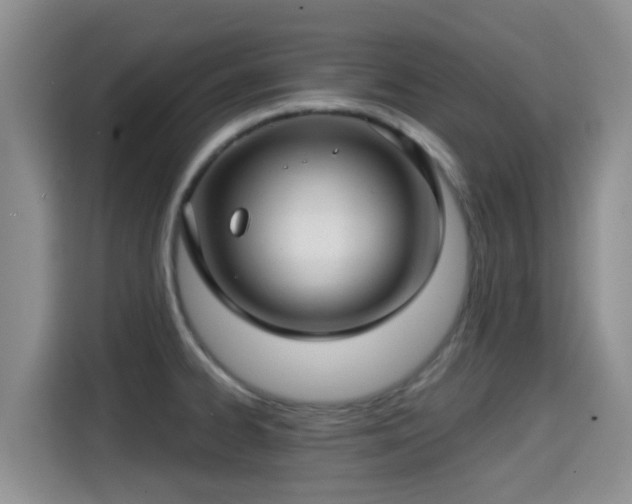 X0000115291334200911090944
