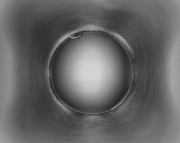 X0000115291335200911090944