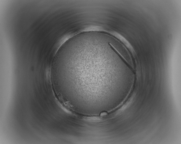 X0000115291337200911090944