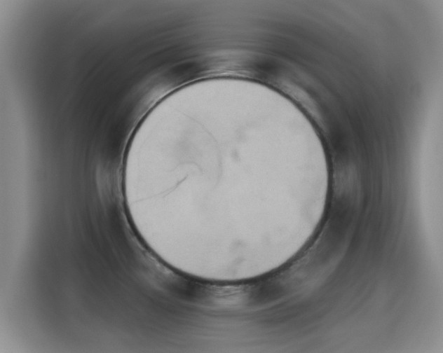 X0000115291338200911090944