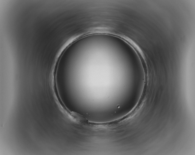 X0000115291341200911090944