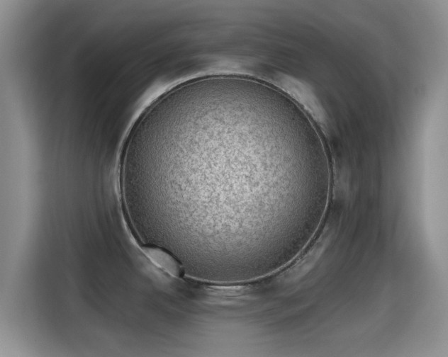 X0000115291342200911090944