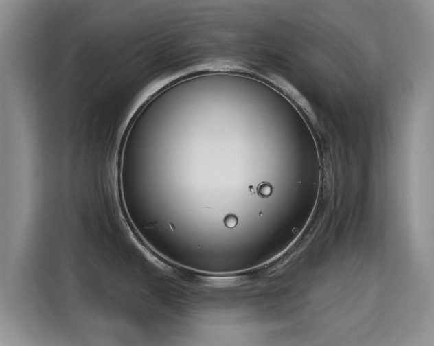 X0000115291343200911090944