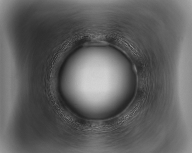 X0000115291345200911090944