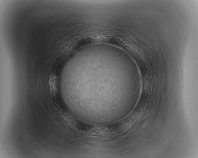 X0000115291346200911090944