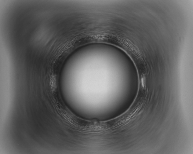 X0000115291347200911090944