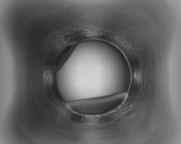 X0000115291348200911090944