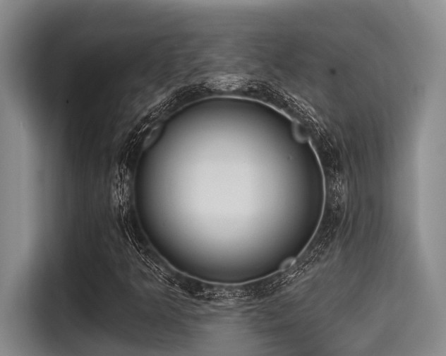 X0000115291349200911090944