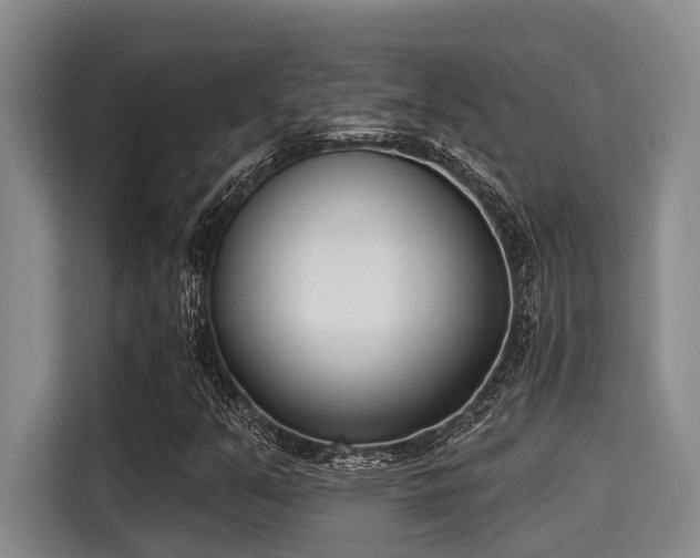 X0000115291351200911090943