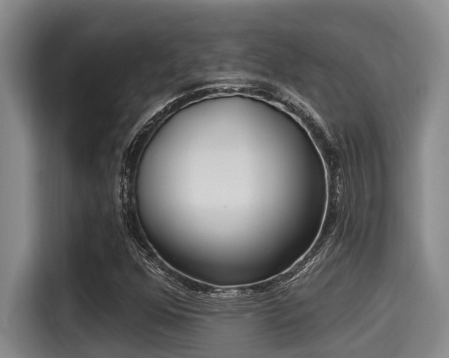 X0000115291352200911090943