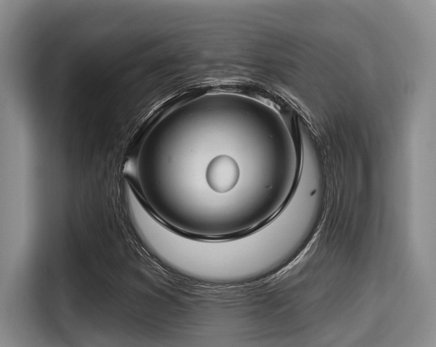 X0000115291353200911090943