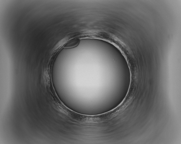 X0000115291354200911090943