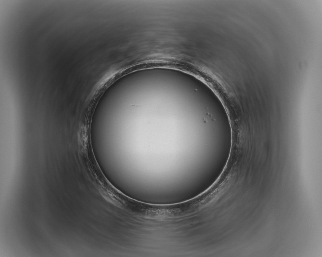 X0000115291355200911090943
