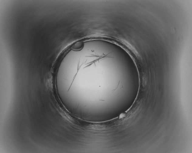 X0000115291356200911090943