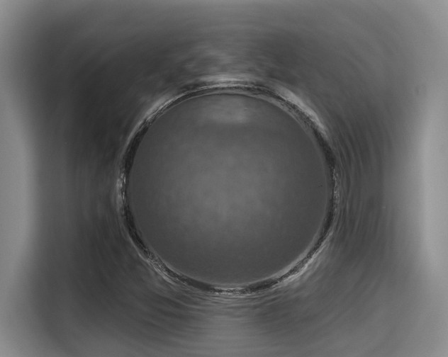 X0000115291357200911090943