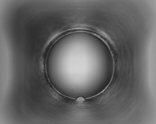 X0000115291360200911090943
