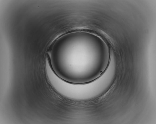 X0000115291361200911090943