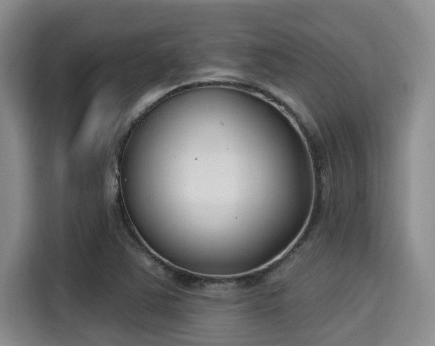 X0000115291363200911090943
