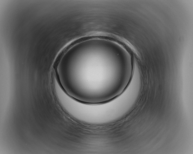 X0000115291364200911090943