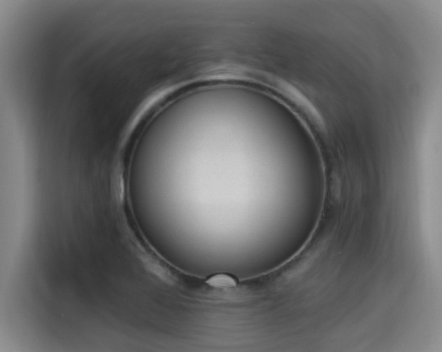 X0000115291368200911090943