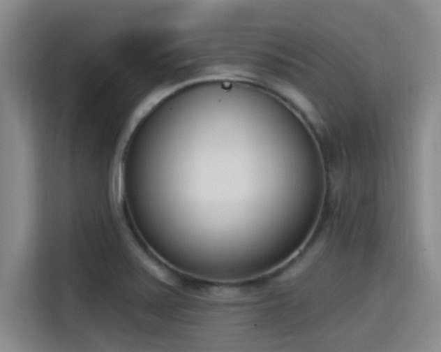 X0000115291371200911090943