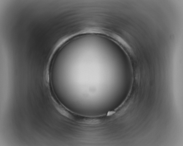 X0000115291372200911090943