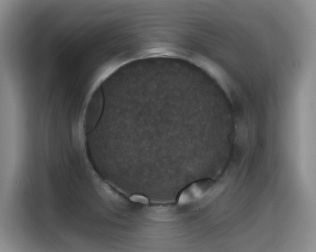 X0000115291373200911090943
