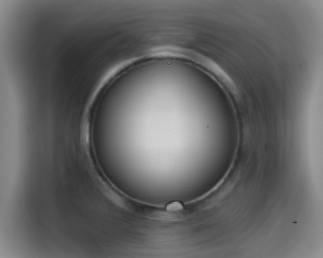 X0000115291376200911090943