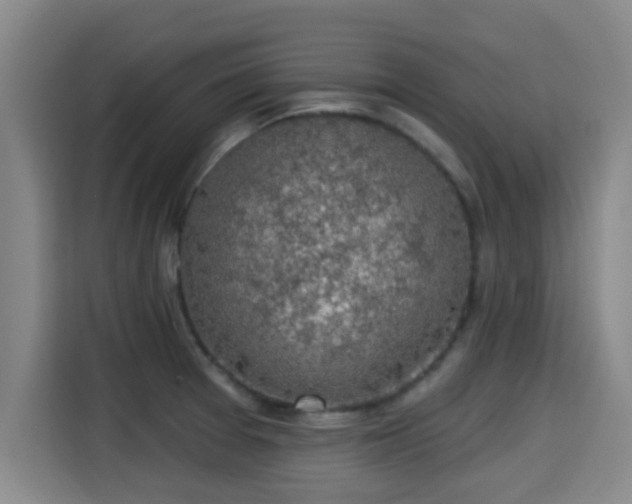 X0000115291377200911090943
