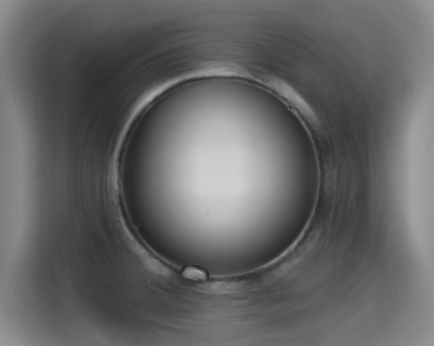 X0000115291380200911090943