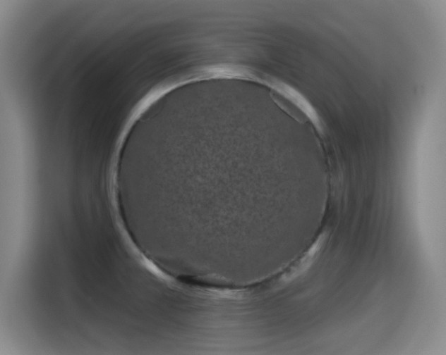 X0000115291381200911090943