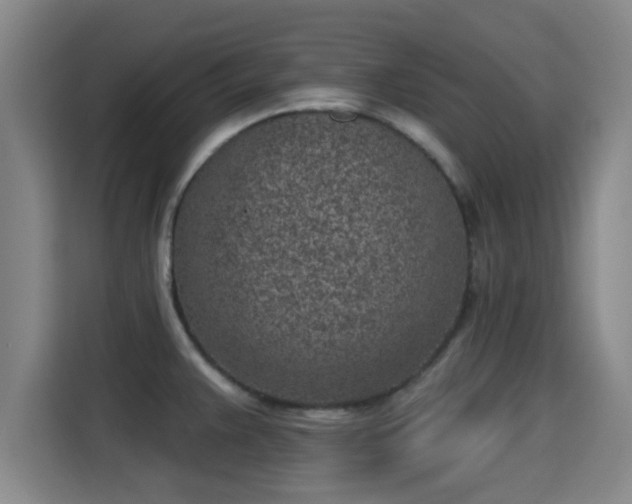 X0000115291383200911090943