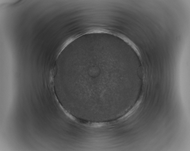X0000115291385200911090943