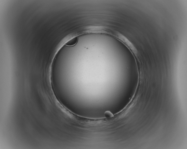 X0000115291386200911090943
