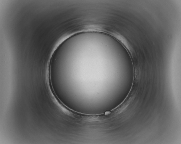 X0000115291387200911090943