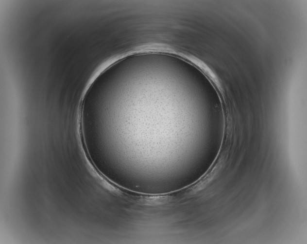 X0000115291390200911090943