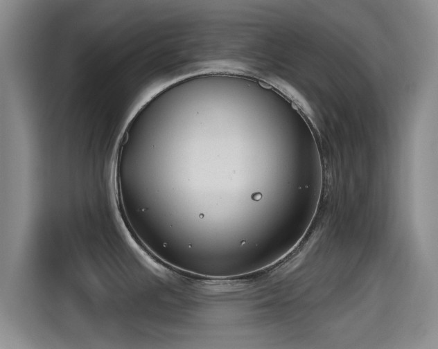 X0000115291391200911090943