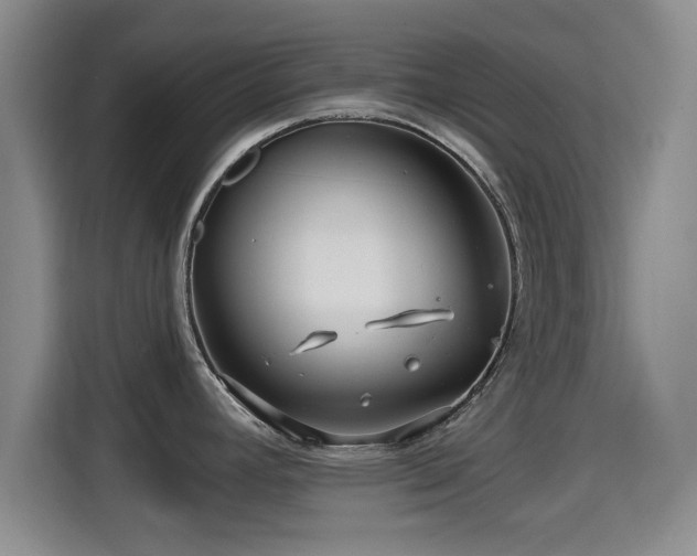X0000115291392200911090943